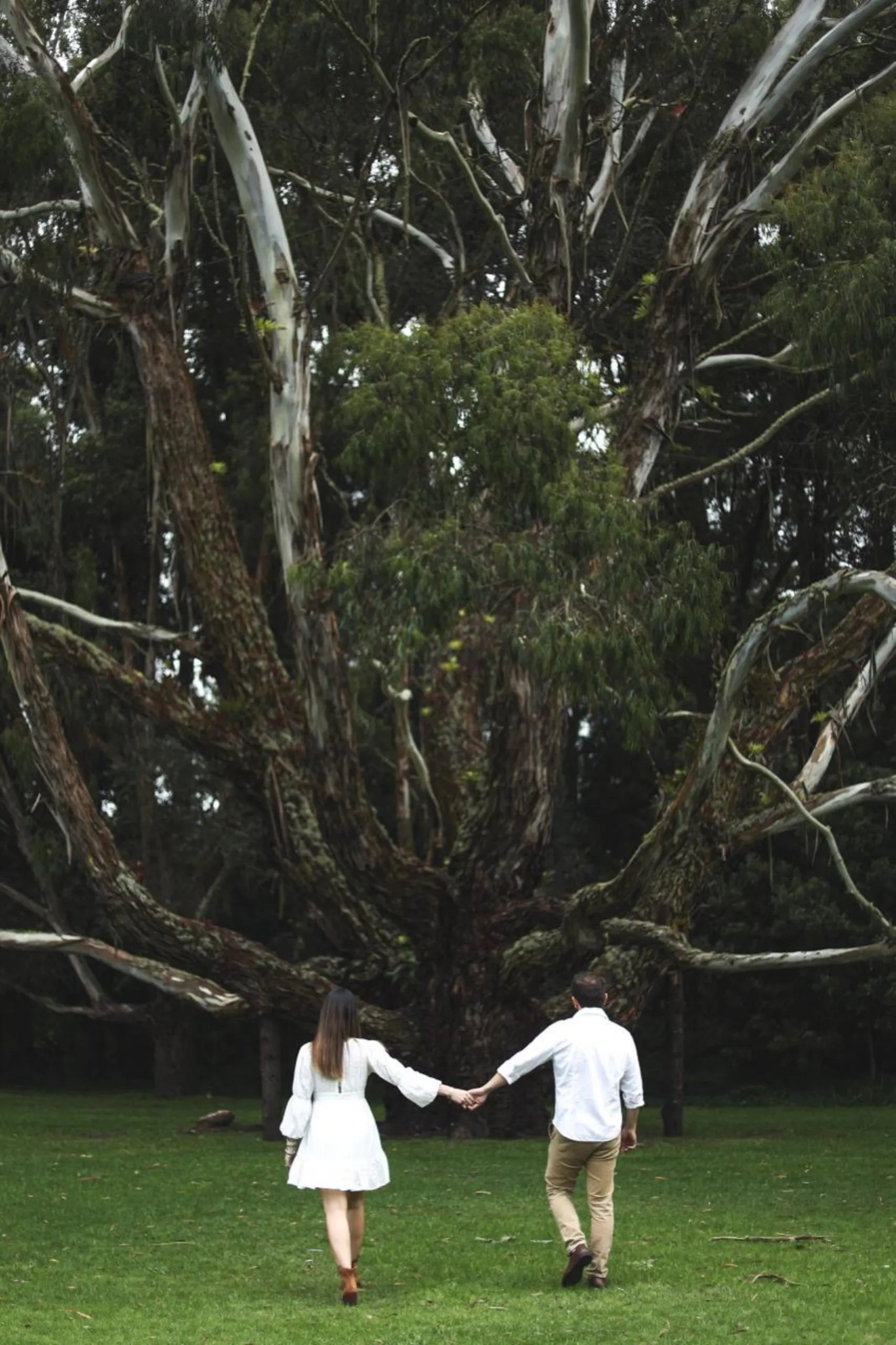 Paola & Diego (8)
